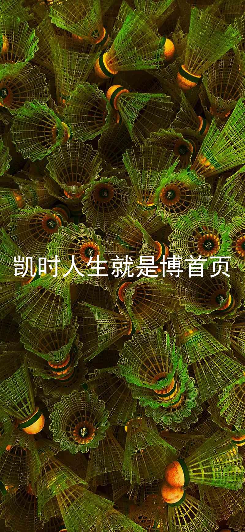 凯时人生就是博首页